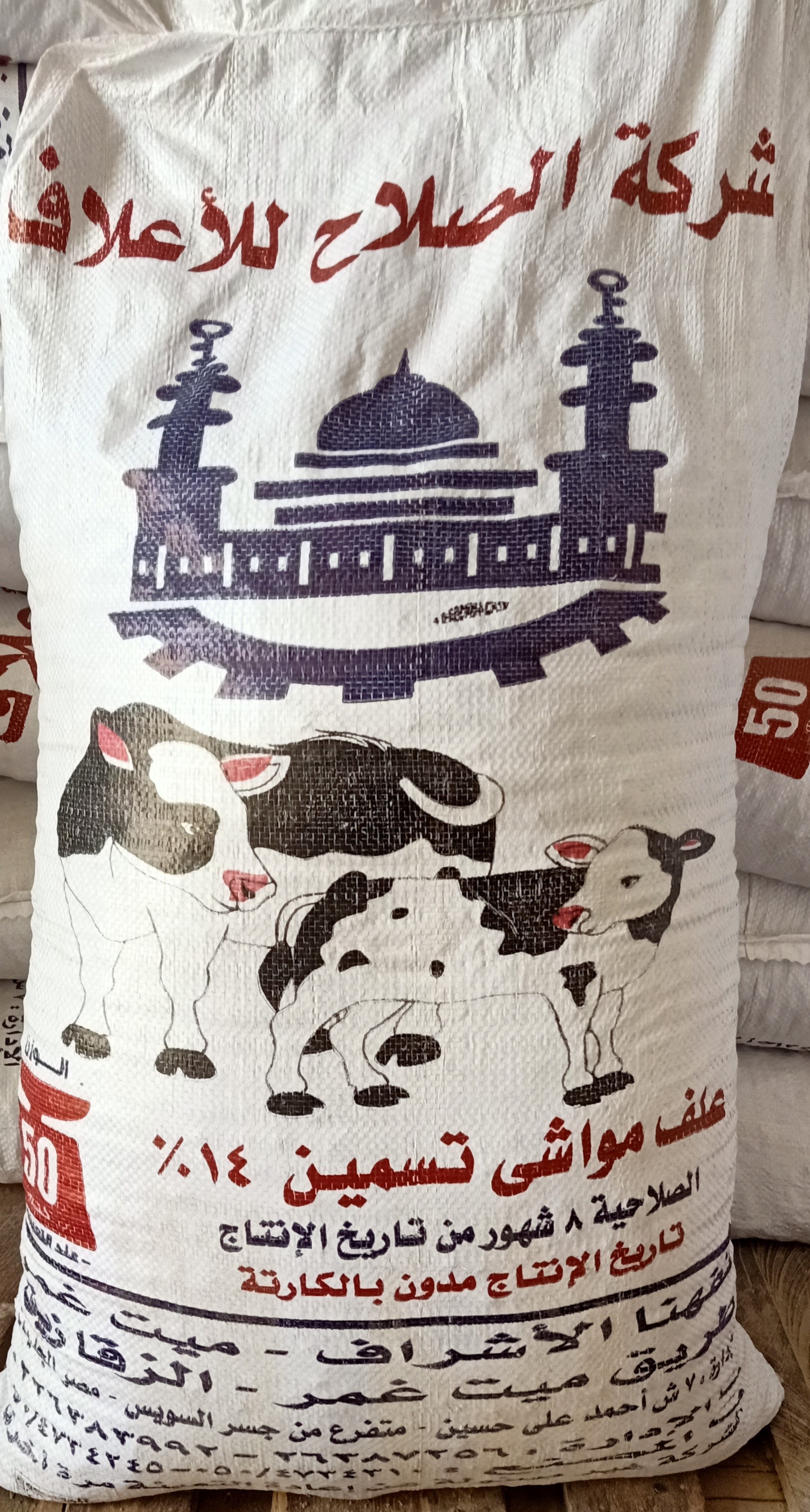 علف الصلاح مواشي